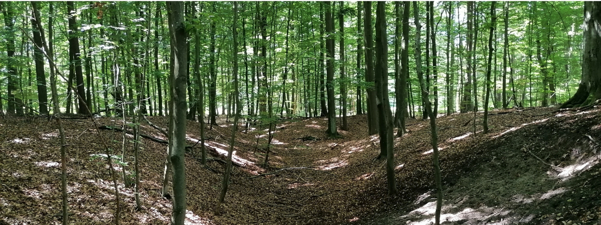 Załęczański Park Krajobrazowy